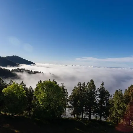 Seaview Cactus * Playa del Inglés