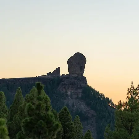 Appartement Seaview Cactus *
