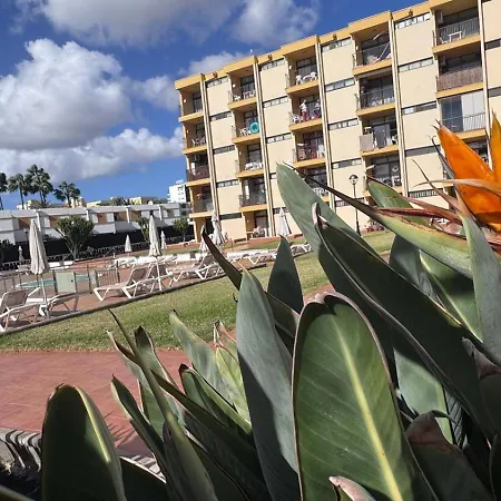 Seaview Cactus Playa del Inglés
