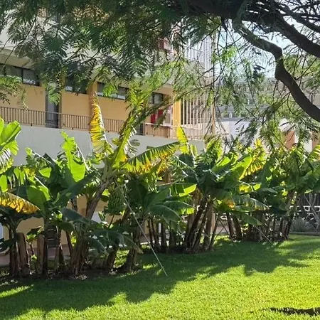 Seaview Cactus Apartmán *