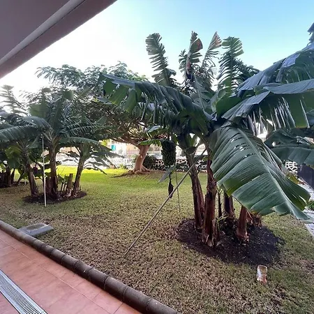 דירה Seaview Cactus פלאייה דל אינגלז