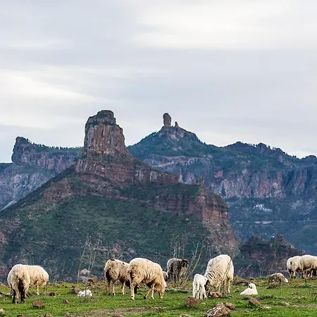 Lejlighed Seaview Cactus