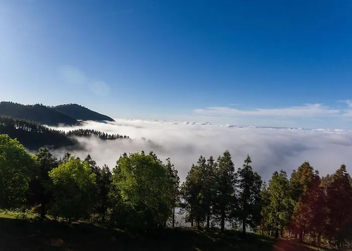Seaview Cactus * 플라야 델 잉글스