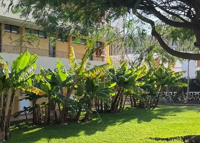 Seaview Cactus 아파트 *