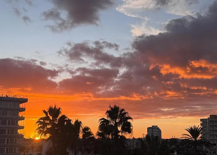 Daire Seaview Cactus *