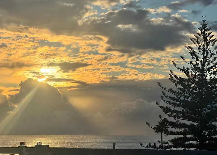 Seaview Cactus 아파트 *