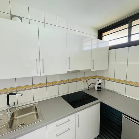 Daire Seaview Cactus