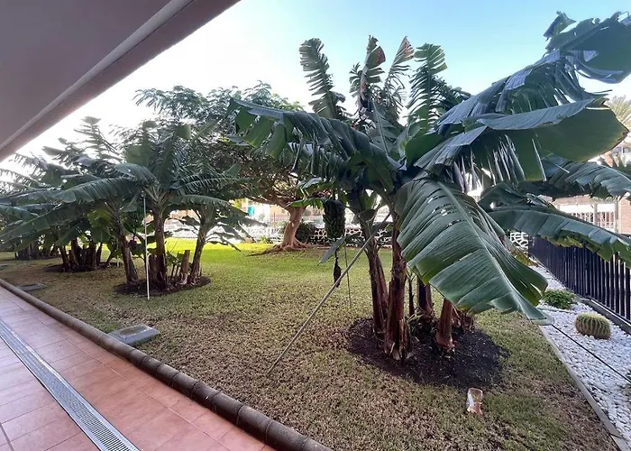 شقة Seaview Cactus بلايا ديل إنغلز