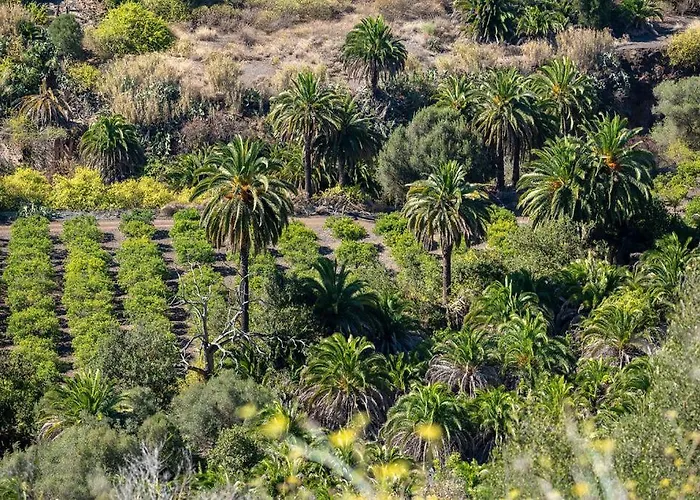 Seaview Cactus بلايا ديل إنغلز