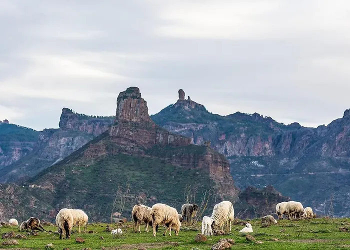 شقة Seaview Cactus