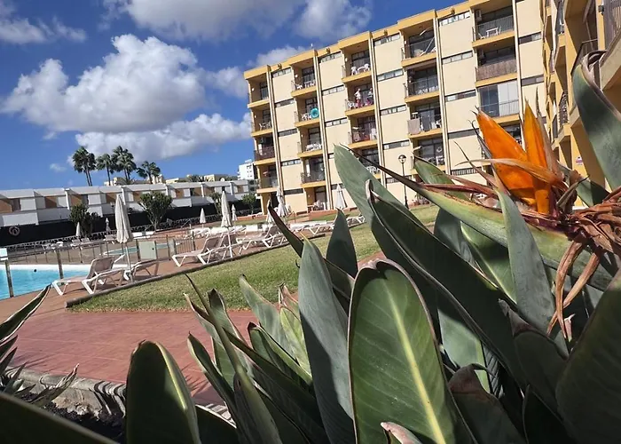 Seaview Cactus بلايا ديل إنغلز